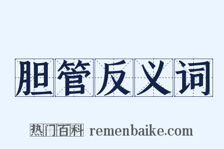 胆管反义词是什么意思的图片